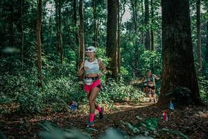 BIB: 
                            <button type="button" onclick="openModal(26134223)" class="btn btn-primary btn-sm float-right btn-popup" data-toggle="modal" data-target=".modal-high-quality">
                        <i class="fas fa-shopping-cart"></i> Add to Cart
                    </button>
                                            <button type="button" onclick="isThisMe(26134223, true)" class="btn btn-success btn-sm float-right btn-popup btn-isme hidden" data-toggle="tooltip" data-placement="bottom" title="นี่คือรูปของคุณใช่ไหม คลิกที่นี่เพื่อเอาเข้าอัลบั้ม">
                        <i class="fas fa-plus"></i> Add to album
                    </button>
                    <button type="button" onclick="isThisMe(26134223, false)" class="btn btn-warning btn-sm float-right btn-popup btn-isnotme hidden">
                        <i class="fas fa-ban"></i> Remove from album
                    </button>